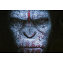 Planet der Affen Revolution T-Shirt Film Movie Promo 2014 Fox Apes Picture Gr. S
