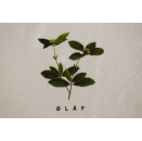 Olaf Hussein T-Shirt Tee Streetwear Natur Plant Pflanze Nature Leaf Art Print M   Amsterdam